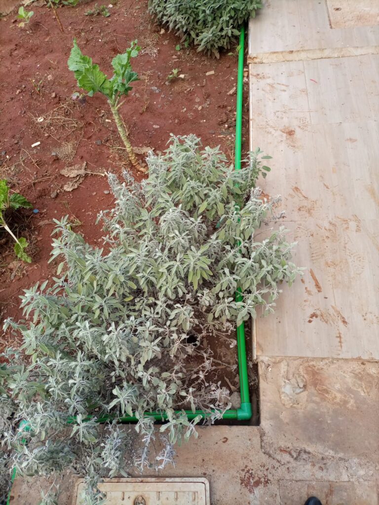 Pop Up Irrigation System Kitengela